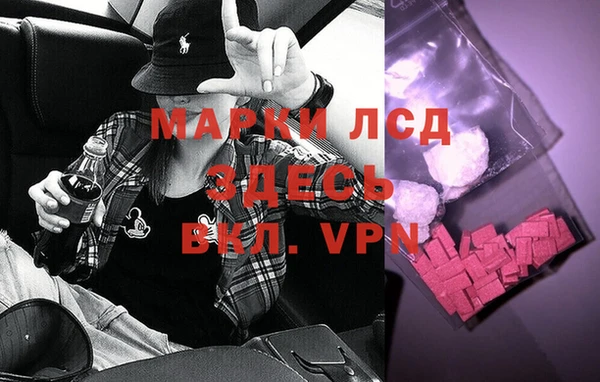 ПСИЛОЦИБИНОВЫЕ ГРИБЫ Аркадак