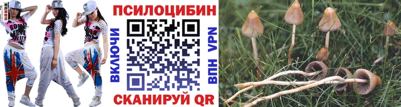 хочу   Фокино  гидра вход  Галлюциногенные грибы прущие грибы 